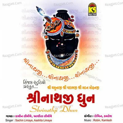 Sreenathji Dhun - Sachin Limaye cover album