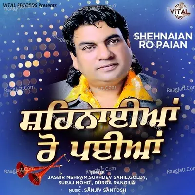 Shehnaian Ro Paian - Sanjiv Santosh cover album