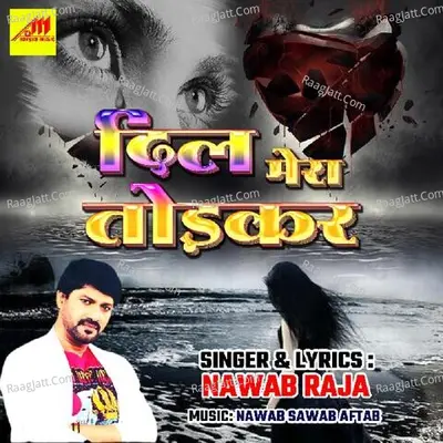 Dil Mera Todkar - Nawab Raja cover album