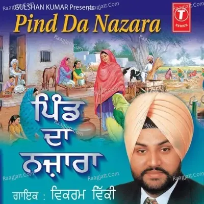 Pind Da Najara - Vikram Vicky cover album