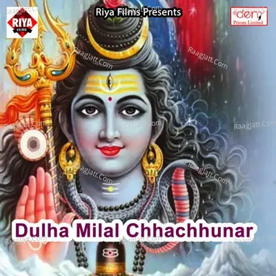 Dulha Milal Chhachhunar - Tej Narayan cover album