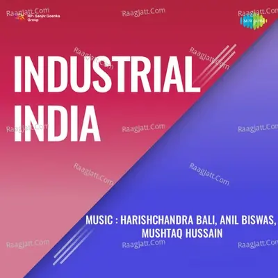 Industrial India - Prem Adib cover album