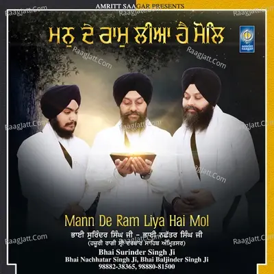 Mann De Ram Liya Hai - Bhai Surinder Singh Ji cover album