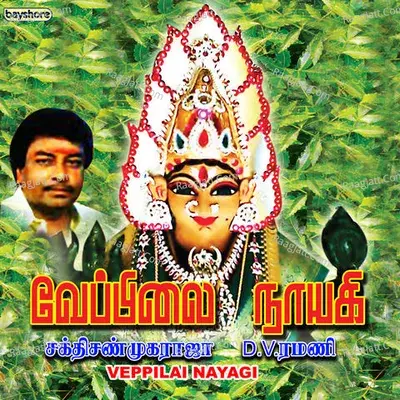 Veppilai Nayagi - D.V.Ramani cover album