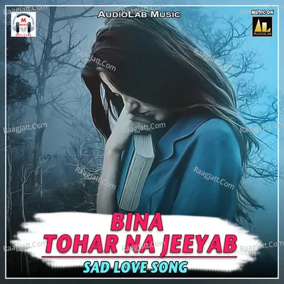 Bina Tohar Na Jeeyab-Sad Love Song -  cover album