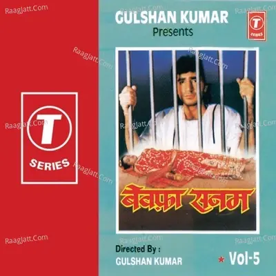 Bewafa Sanam - Anuradha Paudwal cover album