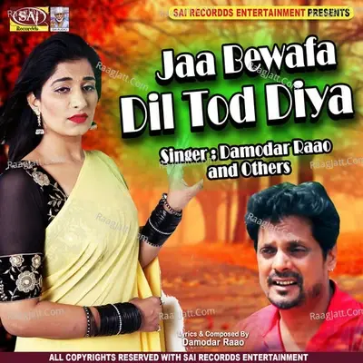 Ja Bewafa Dil Tod Diya - Sonu Rao cover album