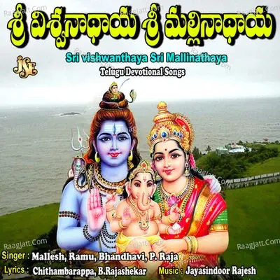 Sri Vishwanthaya Sri Mallinathaya - Bhandhavi cover album