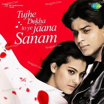 Tujhe Dekha To Ye Jaana Sanam - Nadeem-Shravan cover album