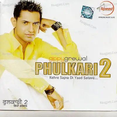 Phulkari 2 - Gippy Grewal cover album