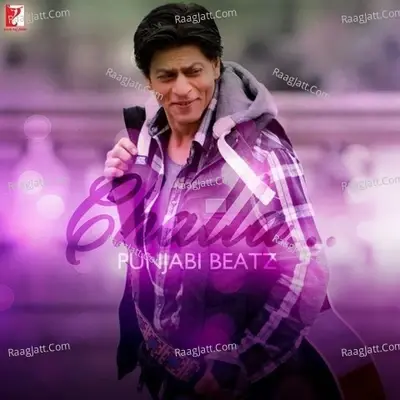 Challa - Punjabi Beatz - Sulaiman Merchant cover album