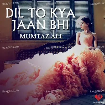 Dil to Kya Jaan Bhi - Mumtaz Ali cover album