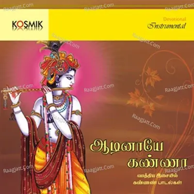 Aadinaye Kanna - Songs on Lord Krishna Instrumental - andal cover album