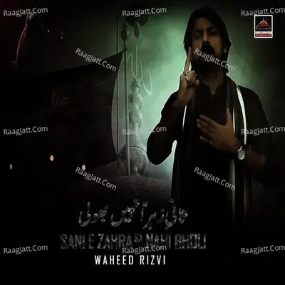 Sani Zahra Sa Nahi Bholi - Waheed Rizvi cover album