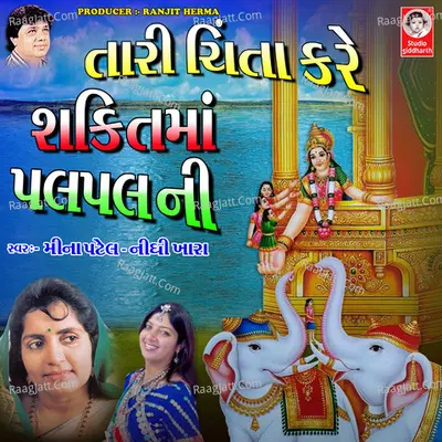 Tari Chinta Kare Shakti Maa Pal Pal Ni - Nidhi Khara cover album