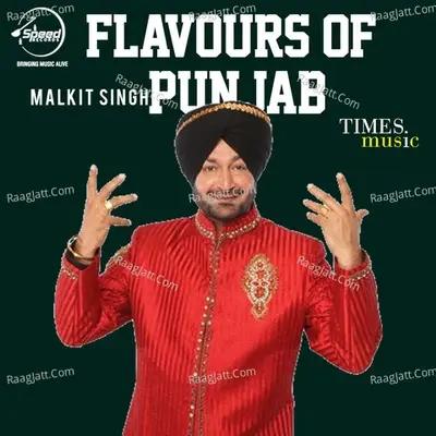 Flavours Of Punjab - Sukhshinder Shinda cover album