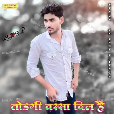 Todgi Wassa Dil Hai - Ak Raza Alwariya cover album