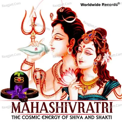 Mahashivratri - The Cosmic Energy of Shiva and Shakti - nandu honap cover album