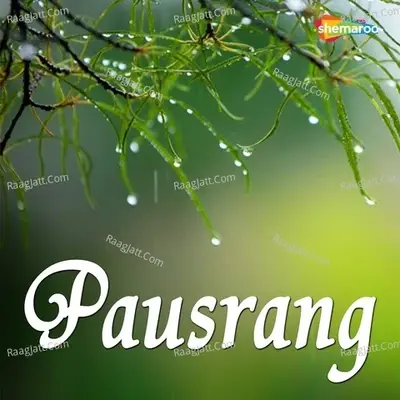 Pausrang - Vinay Rajwade cover album