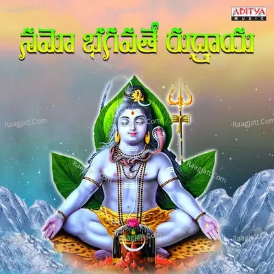 Namo Bhagavathe Rudraya - Nihal cover album