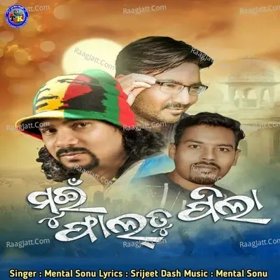 Mui Faltu Pila -  cover album