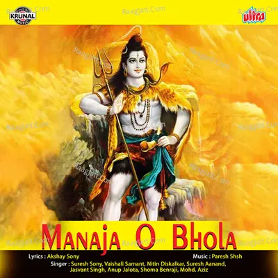 Maan Ja O Bhola - Nitin Diskalkar cover album