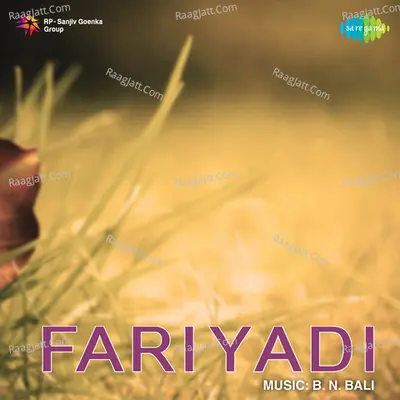 Fariyadi - Pramodini cover album