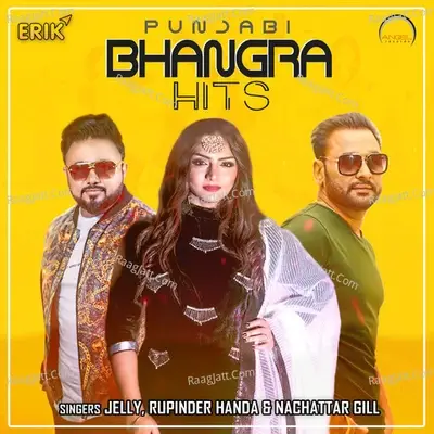 Punjabi Bhangra Hits - Desi Routz cover album