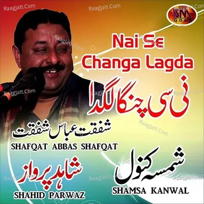 Nai Se Changa Lagda, Vol. 20 - Shafqat Abbas Shafqat cover album