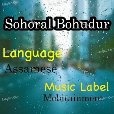 Sohoral Bohudur - Naba Kumar Gogoi cover album