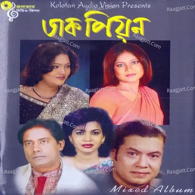 Dak Pion - Bari Siddiqui cover album