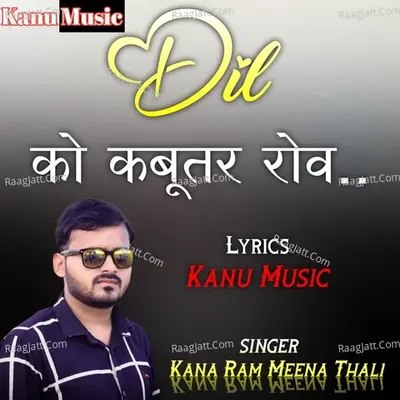 Bhura Hath Ghadi Hmt - Kana Ram Meena Thali cover album