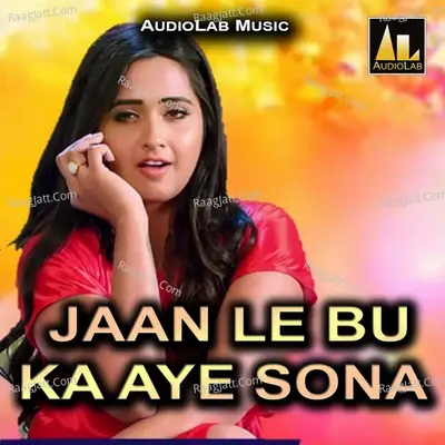 Jaan Le Bu Ka Aye Sona -  cover album