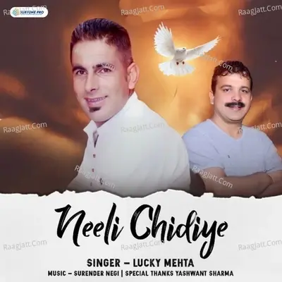 Neeli Chidiye - Lucky Mehta cover album