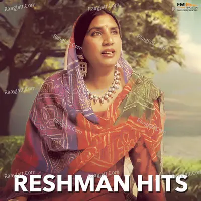 Reshman Hits - Reshman cover album