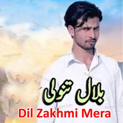 Dil Zakhmi Mera -  cover album