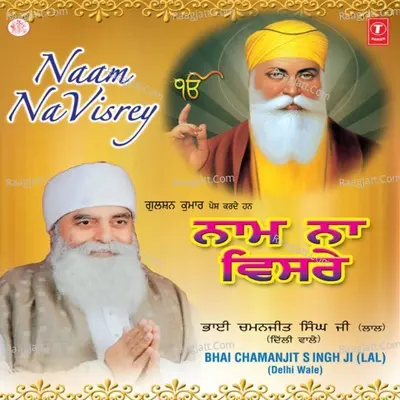 Naam Na Visre - Bhai Chamanjit Singh Lal (Delhi Wale) cover album