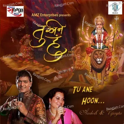 Tu Ane Hoon - Aadesh Shrivastava cover album