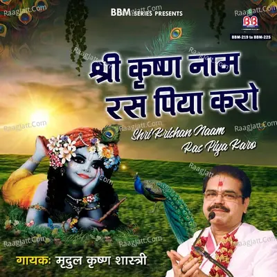 Shri Krishan Naam Ras Piya Karo - Mridul Krishan Shastri cover album