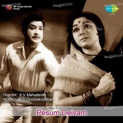 Pesum Deivam - T M S Selvakumar cover album