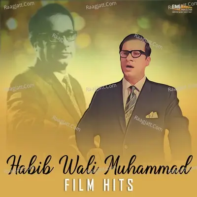 Habib Wali Muhammad Film Hits - Habib Wali Muhammad cover album