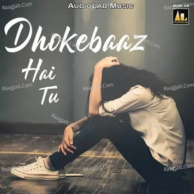 Dhokebaaz Hai Tu -  cover album