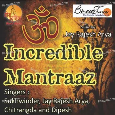 Incredible Mantraaz - Sukhwinder Singh cover album