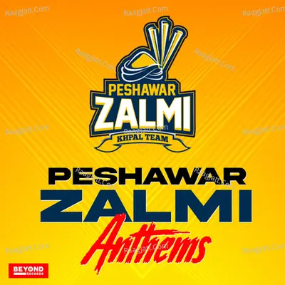 Peshawar Zalmi Anthems - Rahat Fateh Ali Khan cover album