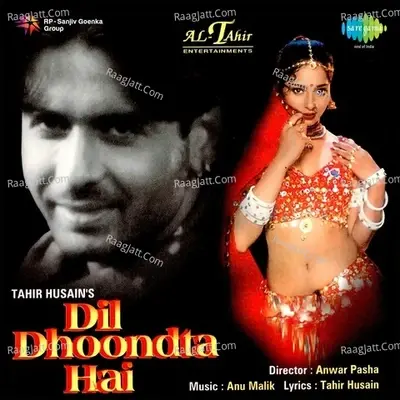 Dil Dhoondta Hai - Alka Yagnik cover album