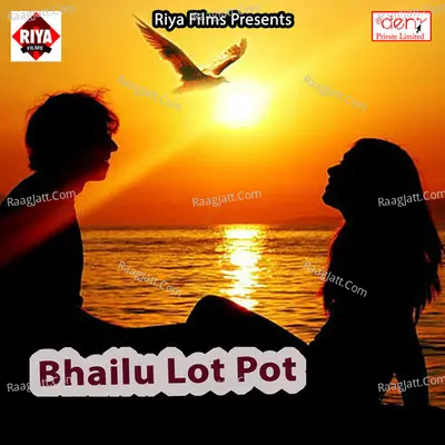 Bhailu Lot Pot - Tej Narayan cover album