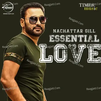 Essential Love - Nikku Singh cover album