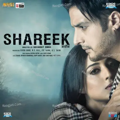 Shareek (Original Motion Picture Soundtrack) - Jaidev Kumar cover album