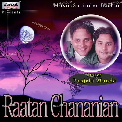 Raatan Chananian - Punjabi Munde cover album