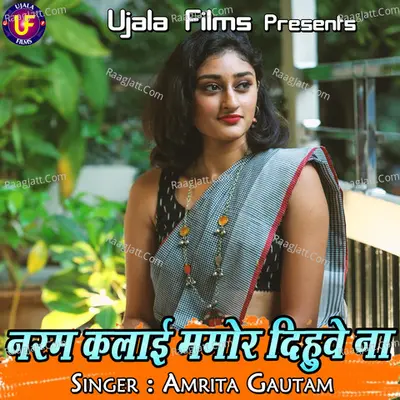 Naram Kalai Mamor Dihuve Na - Amrita Gautam cover album